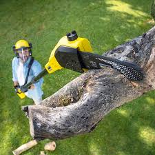 Mulching Services in Channelview, TX
